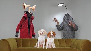 Dogs vs Siren Head vs Light Head Prank: Funny Dogs Maymo & Potpie See Siren Head In Real Life