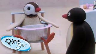 Pingu the Babysitter! | Pingu Official | 1 Hour | Cartoons for Kids