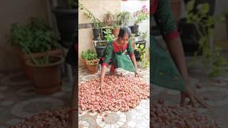 Minivlog#92||‍️How to store Onion for 5 months||April06 #familyvlog#home#vlog#minivlog#yt