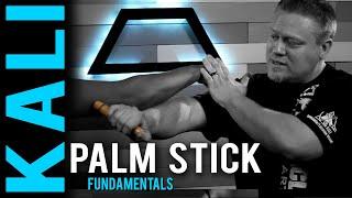 Palm Stick Fundamentals | Sean Elders