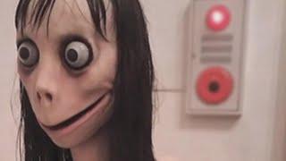 Who’s Behind the ‘Momo Challenge’?