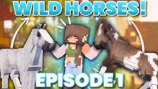 THE JOURNEY BEGINS | Mustang Makeover Phase 1 [MC Equestrian]