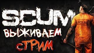 SCUM|SOLO|СТРИМЕР ПРИБОЛЕЛ))))