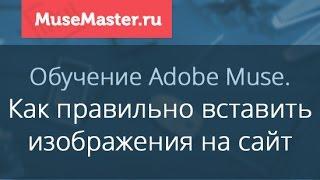 #15. MuseMaster.ru. Импорт изображений в Adobe Muse