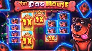 ПОКУПКА БОНУСОК В DOG HOUSE (1 ЧАСТЬ ) ALL IN DOG HOUSE