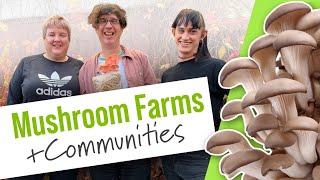 5 Ways That Mushroom Farms Benefit Communities | GroCycle