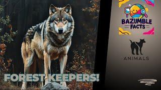 5 Fun Facts About Wolves
