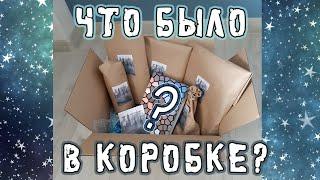 ЧТО БЫЛО В КНИЖНОМ ПОДАРКЕ?