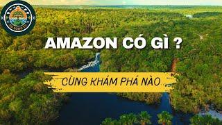 KHÁM PHÁ THẾ GIỚI TỰ NHIÊN : RỪNG RẬM AMAZON