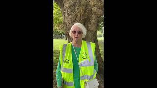 Spelthorne's Walking for Health