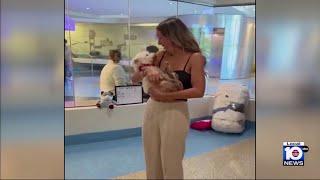 Family shocked to be reunited with dog they were told was killed 4 years ago