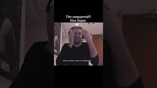 Кем хочешь стать?  #человек #папич #arthas #животные #пёс #философия #ктоты