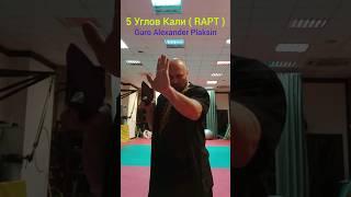 5 Углов Кали ( RAPT ) #панантукан #филиппинскийбокс #panantukan #плаксин #арнис #кравмага #эскрима