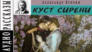 Александр Куприн "Куст сирени" |      Аудио рассказ