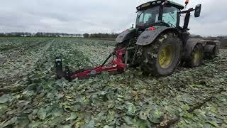 Loonbedrijf Sturm Jacobs aan het werk met  de Proforge Molploeg.