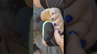 Babysitter Tickish Feet Roleplay, laughing, soft spoken