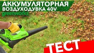 Тест аккумуляторной воздуходувки Greenworks 40v G40AB 2400807