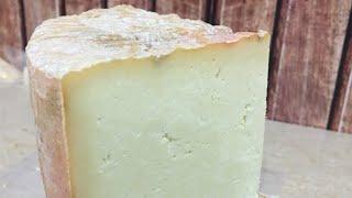 Monterey jack cheese by FCM