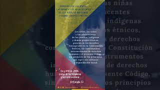 Derechos de los niños,  las niñas y los adolescentes de los pueblos indígenas y demás grupos étnicos
