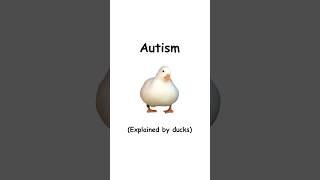Autism (explained by ducks)