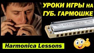 Уроки игры на губной гармошке│  Harmonica Lessons