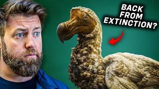 Why I Believe The Dodo Is Coming Back From Extinction