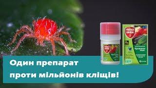 Прованто Майт – захист плодових і овочевих культур від кліщів.