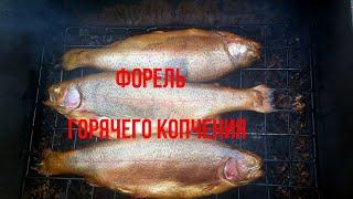 Форель горячего копчения. Hot smoking of trout.