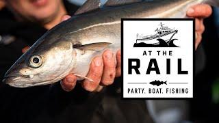 Pollock Fishing on the American Classic | Lynn, MA | At The Rail Ep. 10