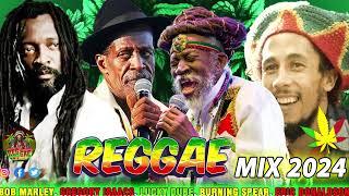 Bob Marley, Peter Tosh, Gregory Isaacs, Lucky Dube, Sean Paul, Ziggy Marley ️‍ Reggae Mix 2024