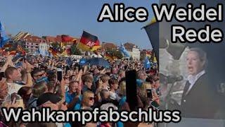 Alice Weidel Rede - AfD Wahlkampfabschluss Erfurt 31.08.24