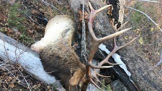 Extreme Elk hunt with Jet Boat! | S4E03 | Limitless Outdoors