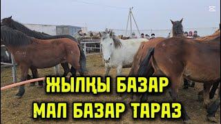 ЖЫЛҚЫ БАЗАР / МАЛ БАЗАР ТАРАЗ 2025 🫱‍🫲