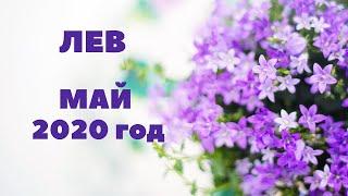 ЛЕВ. ТАРО-ПРОГНОЗ НА МАЙ 2020 Г.