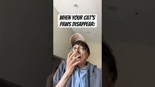 When Your Cat Goes into LOAF mode #TheManniiShow.com/series