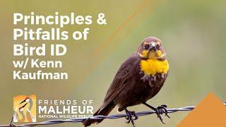 Principles and Pitfalls of Bird ID w/ Kenn Kaufman