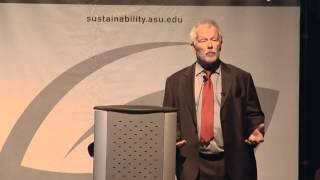 "Complex Systems Theory, Sustainability, and Innovation" by  Sander van der Leeuw