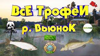 РУССКАЯ РЫБАЛКА 4 (RUSSIAN FISHING 4) - ВСЕ ТРОФЕИ Р. ВЬЮНОК.