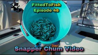 Best Bait To Use For Snapper Chum