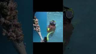 SKETCH GONE WRONG… #fyp #foryoupage #explorepage #trending #explore #sketch #pov #pool