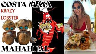 The Krazy Lobster Costa Maya Mahahual | Best Restaurant to visit in Costa Maya | Cruise Ship