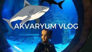 Günlük Vlog 5 / Funtastic Aquarium'u gezdik ( Westpark İzmir ) | Umut Limanı #vlog