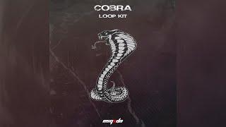 [FREE] (15+) DRILL LOOP KIT 2024 "COBRA" (Dark, Ethnic, Vocal)