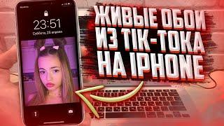 КАК поставить видео из TIK TOK на обои на твоем iPhone?