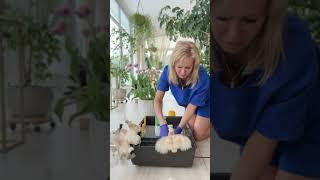 Ежедневная суета 