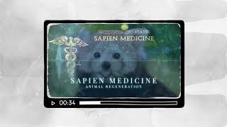 Animal Regeneration ver2.0 by Sapien Medicine