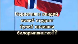 Норвегияда укиш! Норвегияга студент булиб келиш хакида!