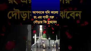 ,#আপনাকে যদি #কারো লং এর ঘোড়া #দৌড়ায় কি বুঝবেন  aklo ronger gavi dowray ki bojben