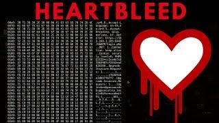 Heartbleed Exploit - Discovery & Exploitation
