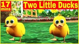 Two Little Ducks - Five Little Ducks - 3D Nursery Rhymes and Baby Songs l Kids Songs l Pankoo Kidz